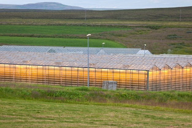 A modern greenhouse in Alentejo, Portugal, with rows of drought-resistant crops being grown using advanced irrigation techniques. Solar panels are visible on the roof, powering the greenhouse.