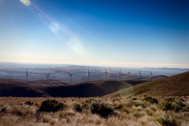 A large solar energy farm in the Algarve region of Portugal, with rows of photovoltaic panels stretching into the distance. In the background, wind turbines are spinning on a hilltop.
