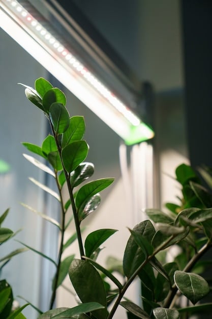 A photograph showcasing a modern, eco-friendly office space in Lisbon, Portugal. The office features green plants, visible recycling bins, natural light, and employees working on laptops, symbolizing a sustainable work environment promoted by Fintech companies.