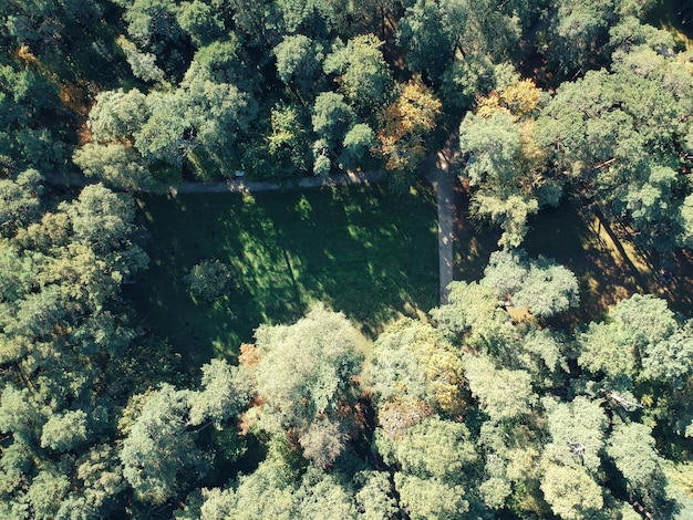Investimentos Sustentáveis: Guia para Alinhar Valores e Retornos em Portugal
