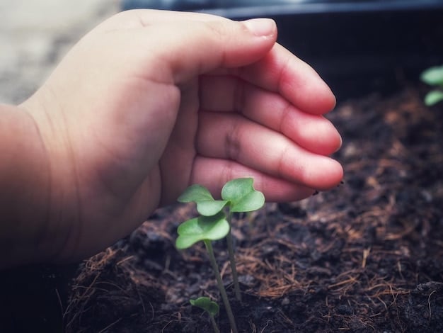 Close-up of hands planting a small tree seedling in fertile soil. The background is blurred, suggesting a focus on growth, care, and the individual's role in nurturing the environment.